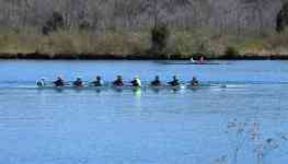 Memphis: ladies, scull rowing, ladies scull rowing